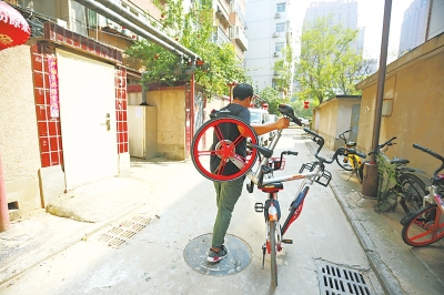 郑州一小区藏了26辆单车 其中12辆躺在灌木丛里