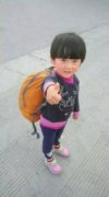 4岁女孩将随父徒步挑战川藏线 虎爸虎妈回应质疑