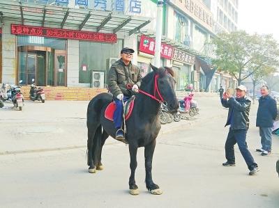 郑州七旬都市“牧马人”养马当宠物 能否上路听交警怎么说