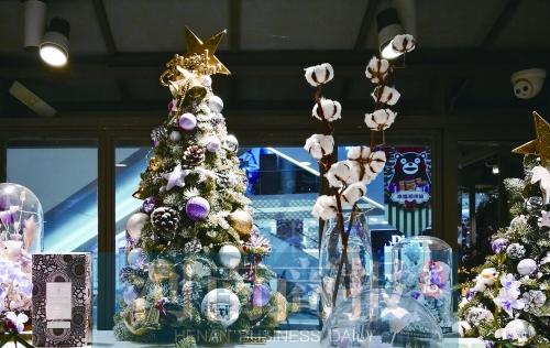 180元一枝 今年圣诞流行送棉花 网友调侃：我家被子值好几万