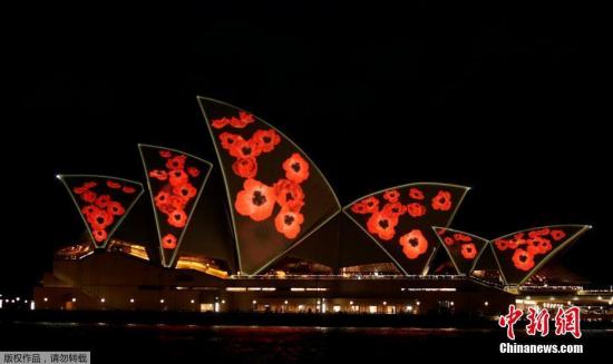 每年的11月11日11：00，全世界数百万人会停下手头上在做的事情，默哀2分钟。一战停战纪念日，也是国殇日。每年这个时候，人们会佩戴罂粟花，向自一战以来为国捐躯的将士表达敬意。