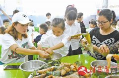 市实验幼儿园举行了“情浓端午节”亲子包粽子传统节日