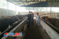 县畜牧局开展夏季养殖技术服务