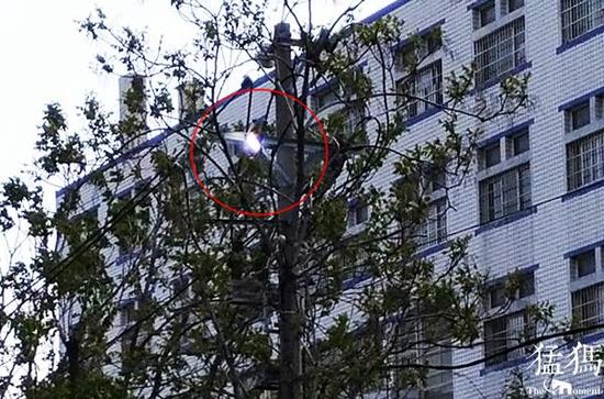 郑州一根高压线噼噼啪啪不停响 不断有火花冒出