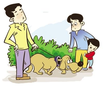 狗狗莫名冲撞电车致人骨折 主人赔偿3.6万元