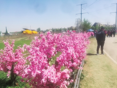  薰衣草庄园用“塑料假花”吸引游客？园方：宣传欠推敲 门票已下调