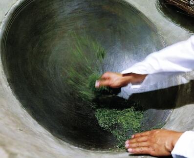 技术活儿炒茶能手月薪2万 34名炒茶师傅“大比武”