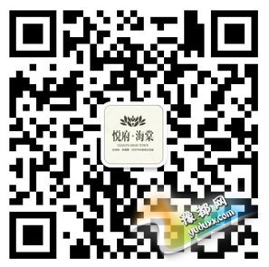 Ĳٿø•¥37ռʢ󿪷