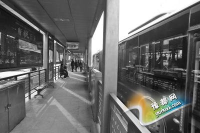 郑州农业路22个BRT站台将拆 B1等线路受影响