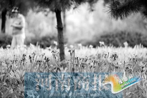 未来几天河南开启初夏模式 气温走高今日逼30℃